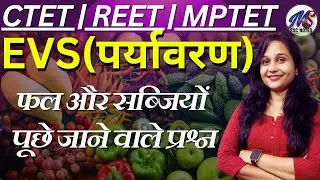 CTET 15 December 2024 || EVS || EVS By Mohit shukla sir || Class 1
