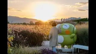 가을 산책 #하중도