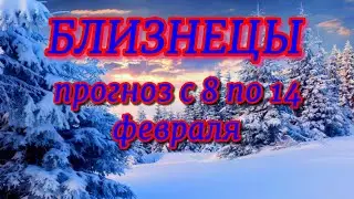 Близнецы  Прогноз с 8 по 14 февраля