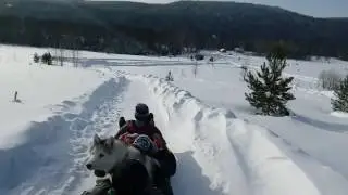Спуск с горы на бубликах. База отдыха 