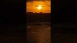 Sunrise and birds songs