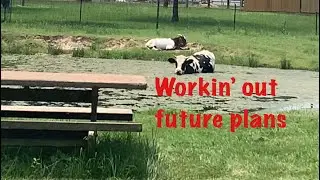 Workin’ out future plans