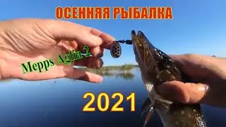 ОСЕННЯЯ РЫБАЛКА В ЖАБОВНИКЕ 2021. Ловля на Mepps Aglia