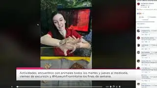 EXPERIENCIAS VIRTUALES EN CONNECTICUT PARA NIÑOS