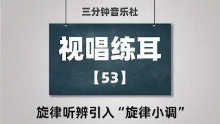 【视唱练耳】53-旋律听辨引入“旋律小调”