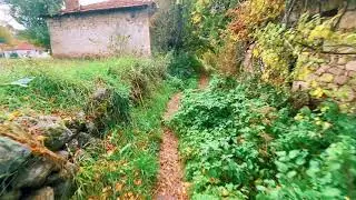 Çameli Kirazlıyayla