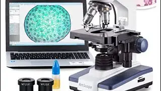 AmScope B120C Microscope Magnification Review
