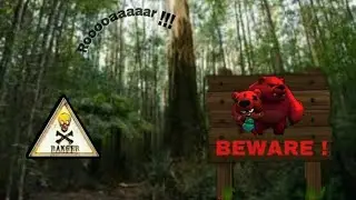 Beware from Nita and her dangerous BF / brawl stars
