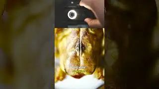 You NEED This Microscope for Your Phone! Apexel PhoneMicro 5 Review