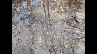 Старый флейтист