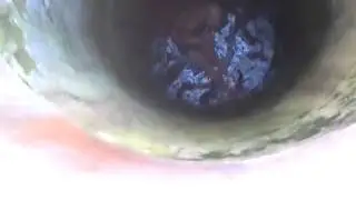 Дай ведра