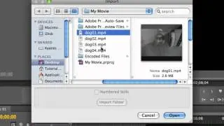 Importing Files - Adobe Premiere Pro CS5 Video Tutorial