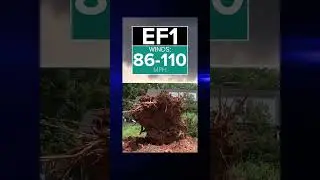 Weather IQ: Understanding the difference between EF0 to EF5 tornadoes