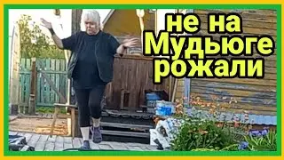 23/6 23 ВЗЬЕРОШЕННЫЙ ВОРОБЕЙ. ВЕТЧИНА, КАК ПОДОШВА. ЗАМОЧУ ПАЛЫЧА.  С 49 ГОДА. БЫЛ В КОНЦЛАГЕРЕ.