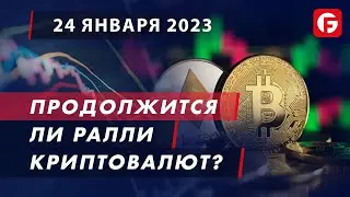 Market Watch. Продолжится ли ралли криптовалют?