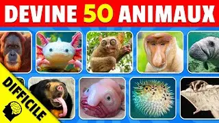 DEVINE les 50 ANIMAUX RARES...! Niveau IMPOSSIBLE 🚨 | Devine les Animaux