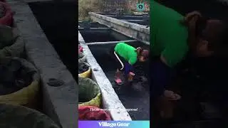 DANGEROUS Hot Tar Pit?! Worker TRAPPED Inside?! Toxic Fumes?! You Won't Believe This Job! 
