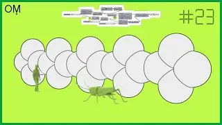 grasshopper beginners tutorial - Short Scripts For Beginners - Video #23 (Solid Union)
