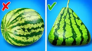 WIE MAN TEURE WASSERMELONEN ZU HAUSE MACHT 🍉 PFLANZENTRICKS! 🌱
