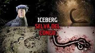 El Iceberg de la Selva del Congo 💀 (criaturas, leyendas y misterios)