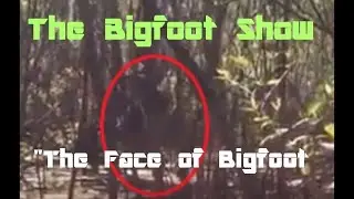 THE BIGFOOT SHOW - The Face Of Bigfoot (Lettuce Lake Video)