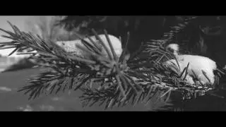 Фильм «Вернуться в прошлое по фотографиям» - 3 место