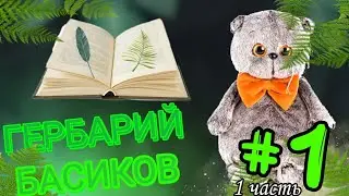 ГЕРБАРИЙ БАСИКОВ