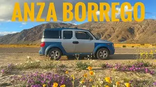 Living In My Car In The Desert