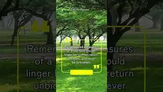 Past Quotes | Past Love Quotes for Her That'll Never Forget | Love Quotes | Quotes for Her