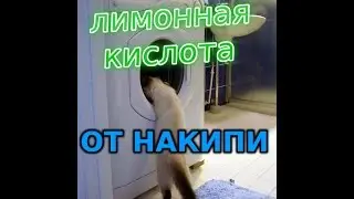 Чистим стиральную машинку. Лимонной кислотой!
