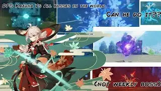 Kazuha VS All bosses in Teyvat w/Zhongli (not weekly boss) - Genshin Impact v1.6