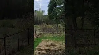 грешники начали самоистребляться(часть 2)