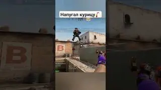 Полёт Нормальный (CS:GO)