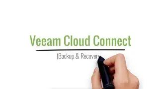 PeaSoup Cloud Backup with Veeam Cloud Connect