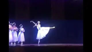 First Willie, Giselle