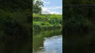 19 июля 2024 г.