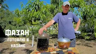 Готовлю ФАЗАН