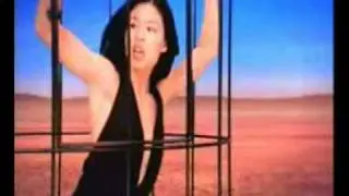 Vanessa-Mae - White bird