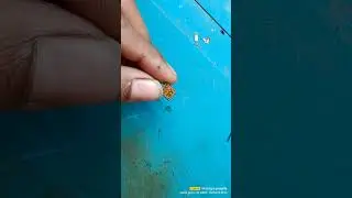 nokia 150 2020 Water damage dead solution
