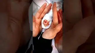 Сарик бола Жахонгир Хотини Асал ва чажжи каизлоги Ясмина билан 