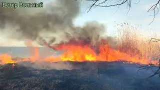 (В10) Сад. Лавочки. Пожар. Окрестности села. #Ветер_Вольный