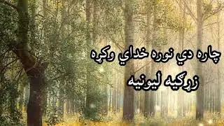چاره دي نوره خدای وکړه زړګیه لیونی هله غم سخه راولویدي سړیه  اوازونه حافظ عمري سالار  #پشتوتراني