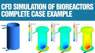 Bioreactor simulations with Computational Fluid Dynamics (CFD)