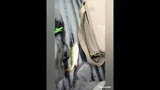 #shorts КТО КУДА А МЫ НА РЫБАЛКУ #сваркадляначинающих #сварка  #fishing #сваркатруб