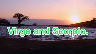 The Most Compatible Zodiac Signs #Took4ever#zodiac#MostCompatible