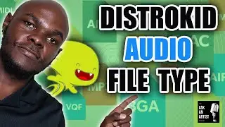 What audio file type should I submit to Distrokid (2023)