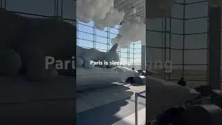 The cat is sleeping, and you get some sleep.