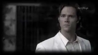 SUPERNATURAL | The Bird and the Worm