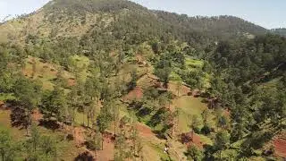 Furcy, Haiti