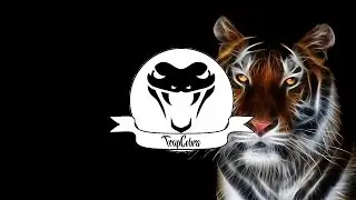 UNless - Win Young Tigers